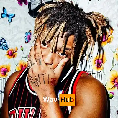 Picture for song 'Sacrifice (Juice Wrld x Rod Wave)' by artist 'Wav Hub'
