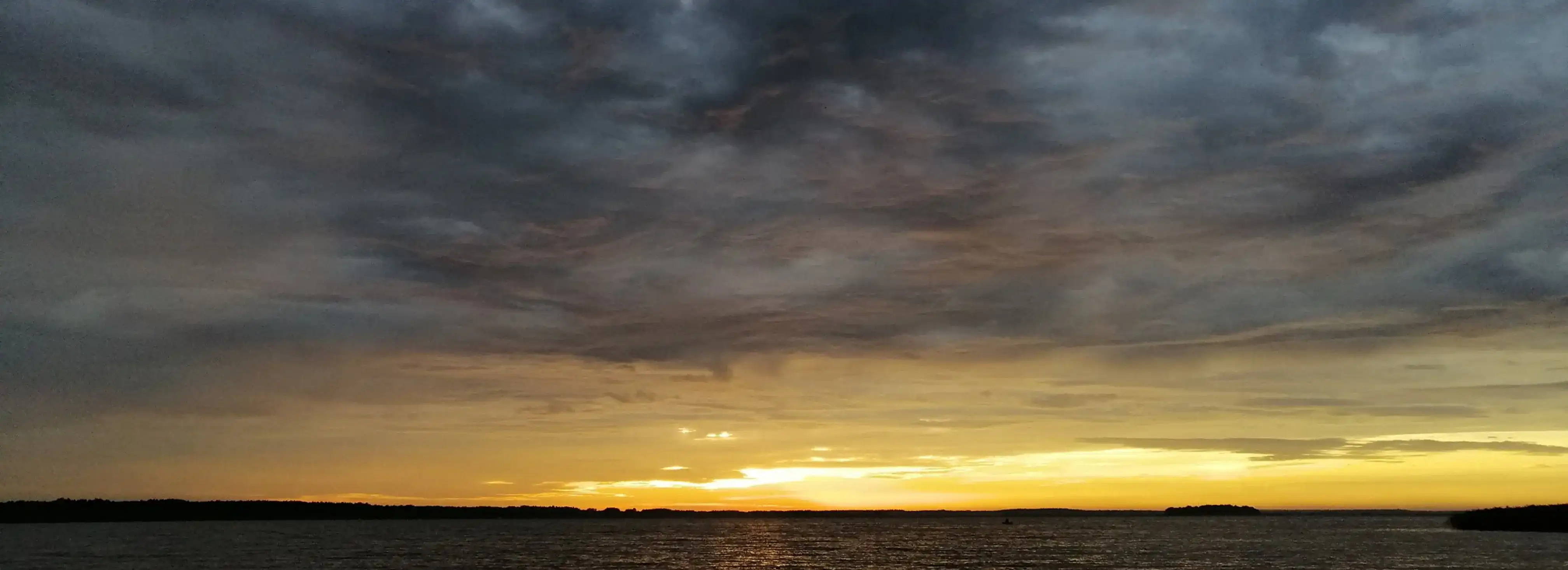 cover pic