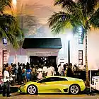 Picture for song 'Enter tha Club.mp3' by artist 'Dj Katfish'