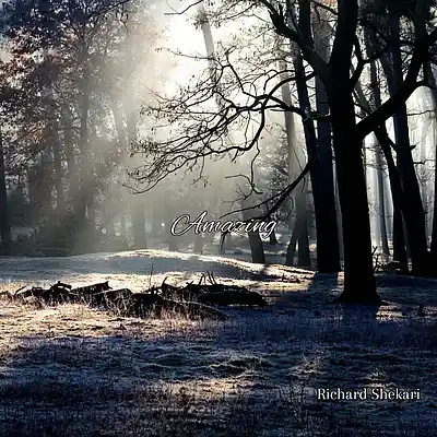 Picture for song 'Amazing' by artist 'Richard Shekari'