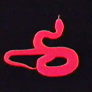 Song picture