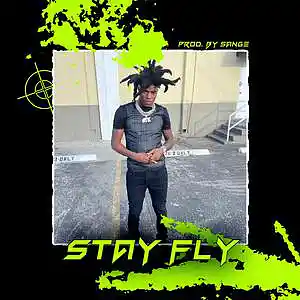 Picture for song 'Toosii x Li Tjay x Lil Durk Type Beat - Stay Fly' by artist 'sange beats'