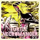 Picture for song 'The Fire Beast' by artist 'Turtle Necromancer'