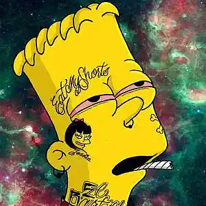 Picture for song 'Full House' by artist 'Benji Nemo'