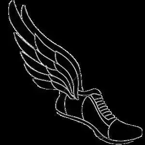 Picture for song 'Landing (Instrumental)' by artist 'Denzlo'