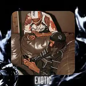 Picture for song '"Exotic" Rio Da Yung Og & Babyfxce E Type Beat' by artist 'D V 1 R V E R S BEATS'