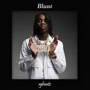 Picture for song 'Blunt - Polo G x Lil Tjay Type Beat 2023' by artist 'SG Beatz'