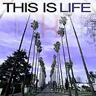 Picture for song 'This Is Life (FREE DL)' by artist 'RoBeatz.com'