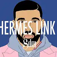 Picture for song '*NEW* Hermes Link (FREE DL + BUY 1 GET 1 FREE)' by artist 'SdotFire'