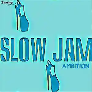 Picture for song 'Slow Jam' by artist 'Supreme Minds Beats'