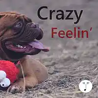 Picture for song 'Crazy Feelin' (tagged short)' by artist 'ToneFly'
