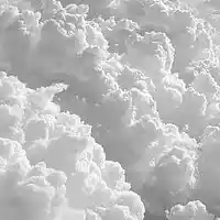 Picture for song 'Saved. (PROD. @TREEZYMADEIT)' by artist 'TreezyForPresident'