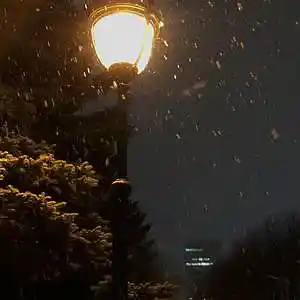 Picture for song 'Elevation' by artist 'VXAQ'