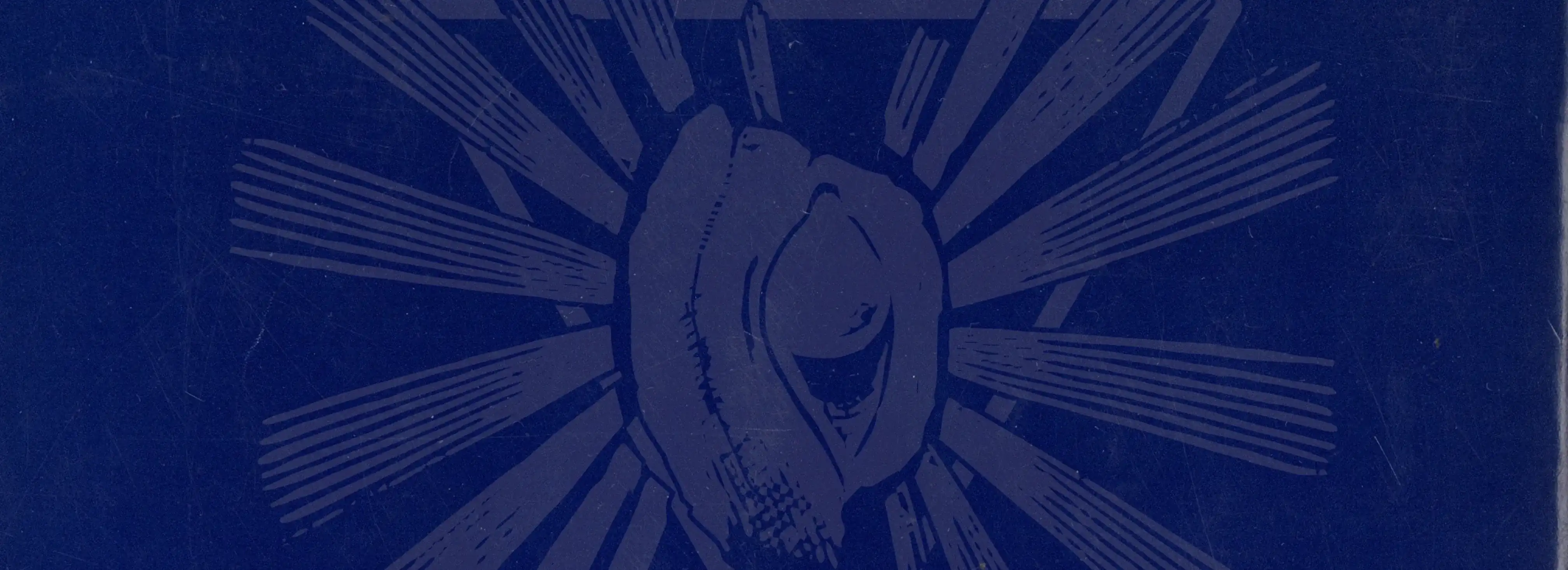 cover pic