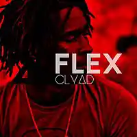 Picture for song 'Flex (Young Thug Type Beat)' by artist 'CLYAD'