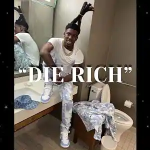 Picture for song '" Die Rich " Hotboii Type Beat' by artist 'Dafool11'