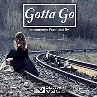 Picture for song 'Gotta Go (Instrumental)' by artist 'Durwin V3GA'