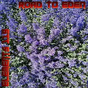 Picture for song 'Road To Eden' by artist 'Elements 119'