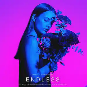 Picture for song 'Russ x Don Toliver - Endless - BUY 2 GET 1 FREE' by artist 'Golden Day'
