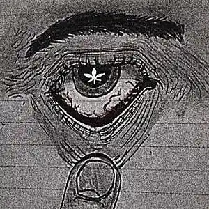 Picture for song 'Hesher - Inside this eye' by artist 'HXSHXR'