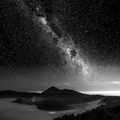 Picture for song 'LOW (FREE INSTRUMENTAL)' by artist 'Le Black James on the Track'