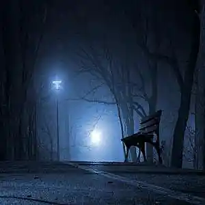 Picture for song 'Lowdanum - night' by artist 'Lowdanum'