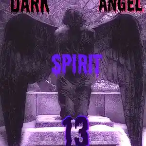 Picture for song 'Dark Angel Spirit 13' by artist 'Spiritus Leach'
