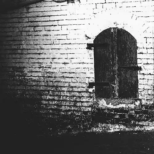 cover pic