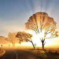 Picture for song 'WEDNESDAY MORNIN (You Chase The Clouds Away)' by artist 'THE DESTINOTICS'