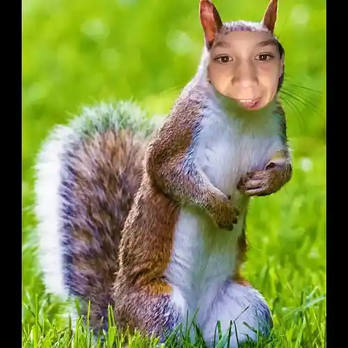 Picture for song 'Potato land' by artist 'Yung dairy'