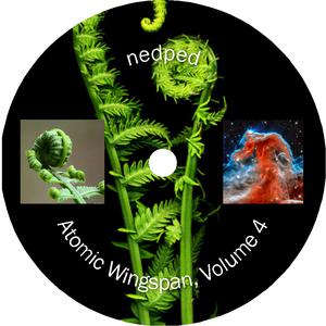 Picture for song 'Xolitude (phase 1)' by artist 'nedped'