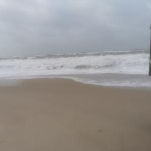 Picture for song '20231123_091634 786 scheint' by artist '786 scheint-Al'lahs Bande'