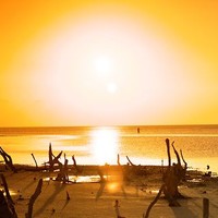 Picture for song 'Radioactive' by artist 'Alana Joy Bailey'