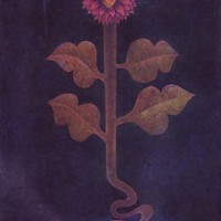 Picture for song 'I Have Someone (Produced by Ace Ha)' by artist 'Uncle Ace Ha'