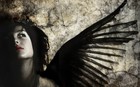Picture for song 'Broken Wings (2012)' by artist 'Beppe Capozza'