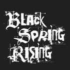 Picture for song 'Black Spring Rising - Pleasure Twisting' by artist 'Cauldron Soundwerx'