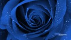 Picture for song 'FOREVER MY LOVE (NEW NEW NEW) FREE DOWNLOAD' by artist 'CERTIFIED NUTTS PRODUCTIONS'