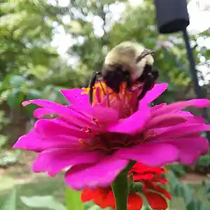 Picture for song 'Dogz' by artist 'Cevin Clay'