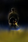 Picture for song 'Worshipers' by artist 'Chris J Bridges'