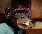 Picture for song 'smoke break 411504' by artist 'Clarke County Crew'