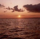 Picture for song 'WHEN THE MORNING COMES' by artist 'CoolCatCal'