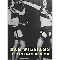 Picture for song 'Misplaced' by artist 'Dan Williams and Gamelan Regime'