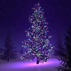 Picture for song 'I wish it could be christmas every day' by artist 'Dave Gee 2001'