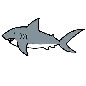 Picture for song 'Great White Shark' by artist 'Desiradio'