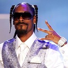 Picture for song 'Up In Smoke *Rhythm & Gangsta*' by artist 'Diamondback Beatz'