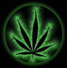 Picture for song 'beat 68-' by artist 'Dreamer (WA)'