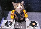 Picture for song '*SOLD* DJ Beat' by artist 'HD-Flat Beats'