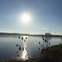 Picture for song 'Flashes Of Colour' by artist 'Heavens Air'