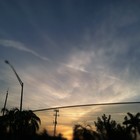 Picture for song 'Dizzy.mp3' by artist 'High Class Clowns'