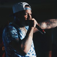 Picture for song 'Like Me' by artist 'Ice Starr'